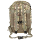 Операционный камуфляж US Backpack Assault II